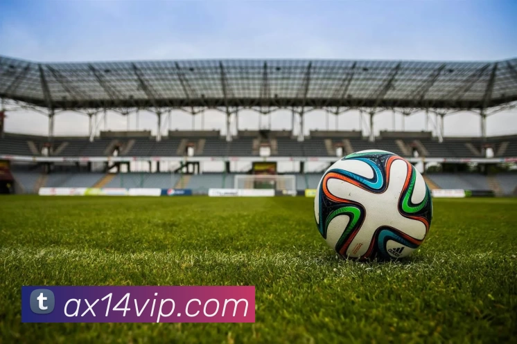 安信14官网服务体系